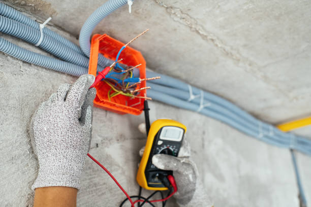 Best Electric Panel Repair  in Moroni, UT